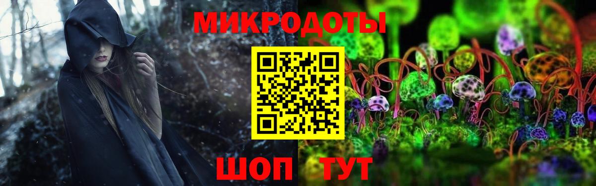 Галлюциногенные грибы GOLDEN TEACHER  Вход с VPN  Среднеуральск 